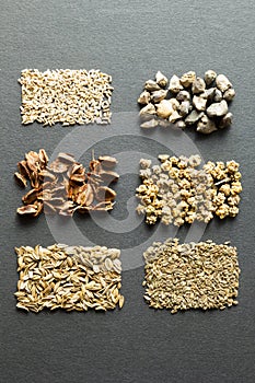 A set of organic seeds for natural farming, vertically