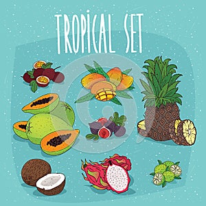 Set of organic tropical fruit cliparts
