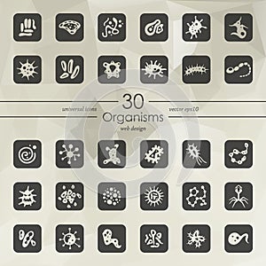 Set of organisms icons