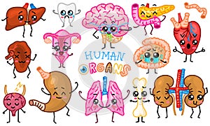 Set of organs. Cute happy human, smiling characters. Vector pins, cartoon kawaii icons. Healthy heart, intestine