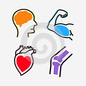 Set of organs design conceptual style, Smart brain, Strong healthy  heart, Powerful muscles arm and Strong bone