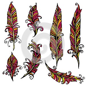 Set of ornamental Feather, tribal design. Ink hand drawn illustration with different indian feathers in red and yellow colors.