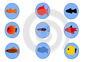 Set of Ornamental Fish - Toy Fish