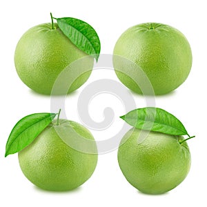 Set of oroblanco isolated on a white background