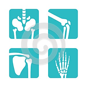 Set of orthopedic and skeleton bones symbols. Vector pelvis, knees, scapula, hand icons. Medical app buttons