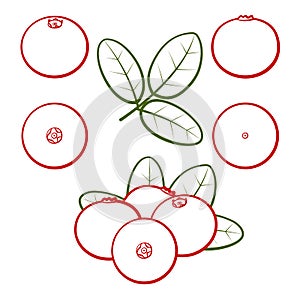 Set of outline berries of red cranberries