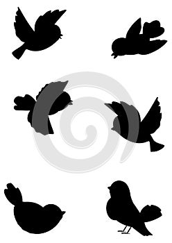 Set outline birds