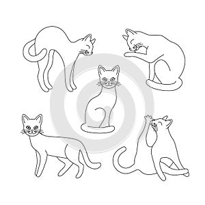 Set of outline cats. Isolated black line standing, sitting, washing, playing cat on white background. Page of coloring book