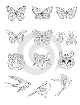 Set of outline cats, tiger, birds, butterflies and bees.