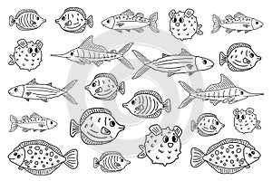 Set of outline white black different cartoon vector underwater fish, tang, flounder, tuna, ocean burrfish, sea marlin. Doodle
