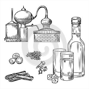 Set Ouzo Greek alcohol on white background. Glass. bottle, cinnamon, cloves, anise, nutmeg, alembic. Engraving vintage style black