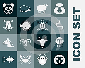 Set Owl bird, Jellyfish, Snake, Sheep, Puffer, Wild boar head, Cute panda face and Turtle icon. Vector