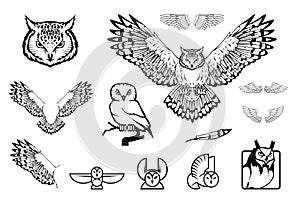 Set of owl logo. Wild birds drawing. Head of an owl.