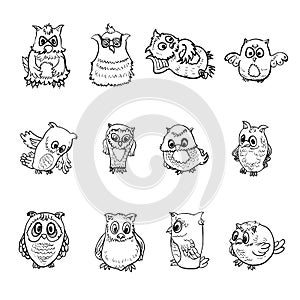 Set of owl