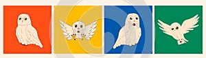 A set of owls on a background associated with different faculties. photo