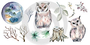 Set of owls, bare trees and moon watercolor illustration isolated on white background.