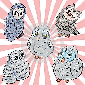 Set with Owls. Vector illustration for children