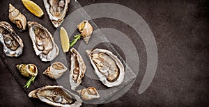 Set of oysters and snails on black platter