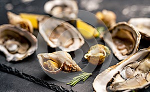 Set of oysters and snails on black platter