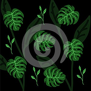 Set of palm leaves silhouettes isolated on on a black background