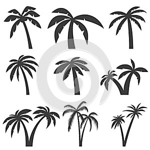 Set of palm tree icons isolated on white background. Design elem