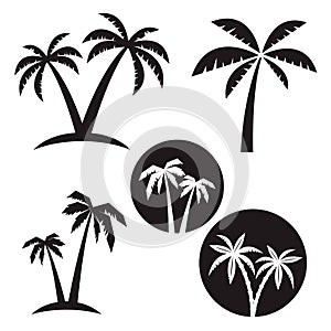 Set of palm tree labels and design elements. Vintage palms illustrations. Vector design element