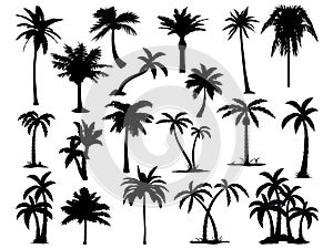 Set of Palm Tree silhouette vector art