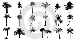 Set of palm trees silhouettes
