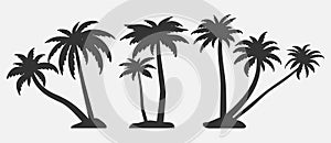 Set of palm trees silhouettes.