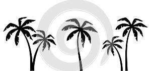 Set of palm trees. Vector black silhouettes.