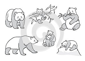 Set of Pandas in outlines- vector illustration