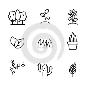 Set of pant and tree related icon line