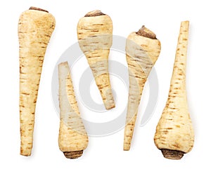 Set of parsnip root on a white background, isolated. Top view
