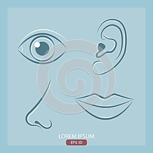 A set of parts of the body. Collection of body parts - nose; eye; lips; ear - icon. Vector illustration.