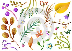 Set of pastel plant elements, flowers, leaves, floral clipart photo