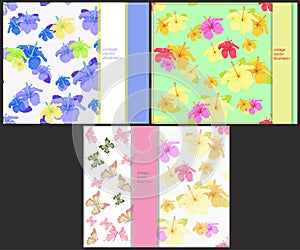 Set the pattern for cards with butterflies and hibiscus. vector