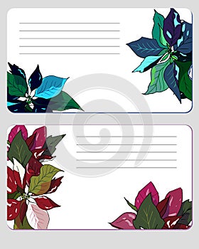 Set of patterns for text. Label with red poinsettia flowers. Vector illustration for signatures, business cards