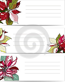 Set of patterns for text. Label with red poinsettia flowers. Vector illustration for signatures, business cards