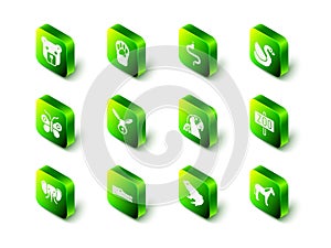 Set Paw print, Snake, Swan bird, Zoo park, Horse, Macaw parrot, Frog and Crocodile icon. Vector