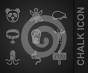 Set Paw print, Snake, Zoo park, Giraffe head, Octopus, Collar with name tag, Hedgehog and Cute panda face icon. Vector