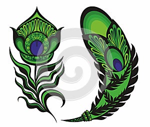 Set of peacock green feathers. Vector illustration