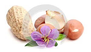 Peanuts in shells isolated on white background.