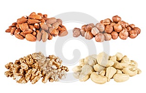 Set of peeled filbert, almonds, cashew