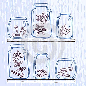 Set of pellucid glass jars with different spices in sketch style photo