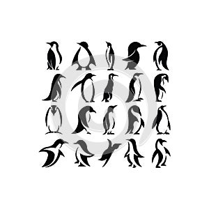 Set of Penguin icon. Penguin symbol design