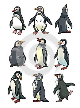 Set of penguins