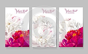 Set of peony flower greeting cards photo