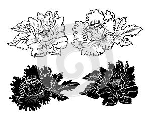 Set of peony flower vector for printing on background.