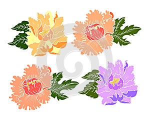 Set of peony flower vector for printing on background.