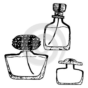 Set perfume bottle. Vector illustration of set toilet water. Hand drawn bottle of perfume